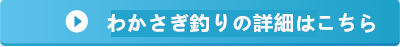 わかさぎ釣り詳細はこちら